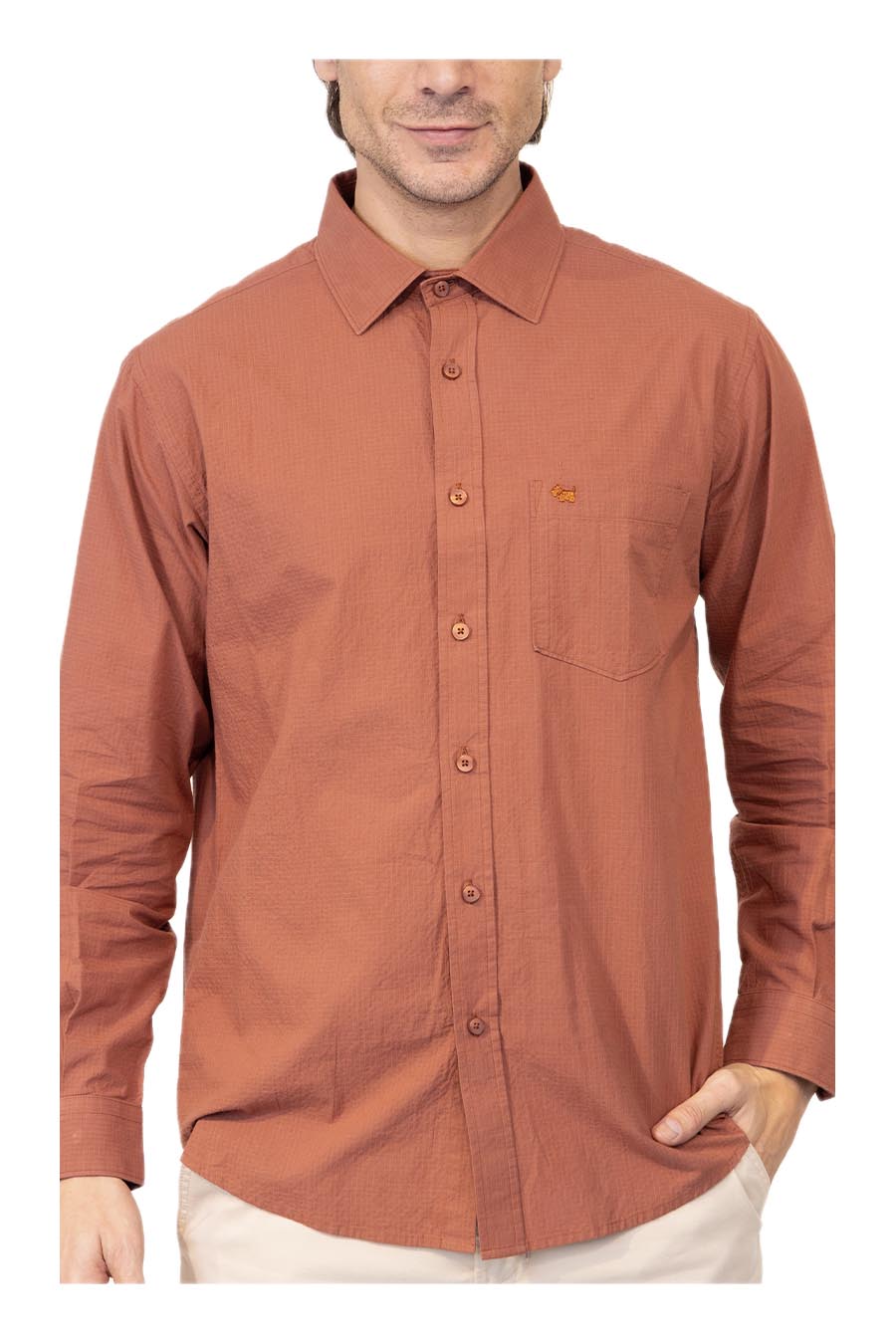 Camisa Tolva Manga larga