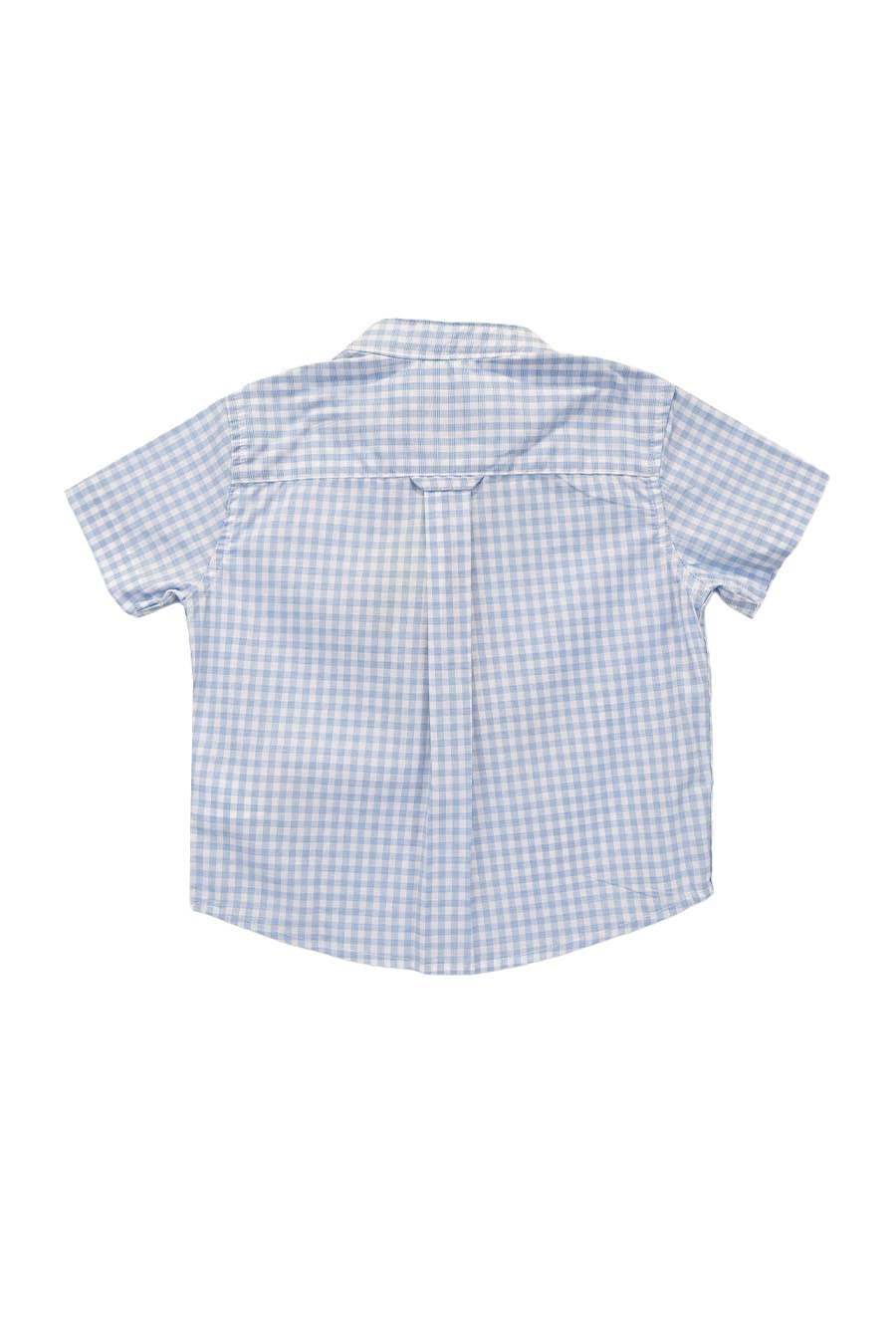 Camisa Darwin manga corta