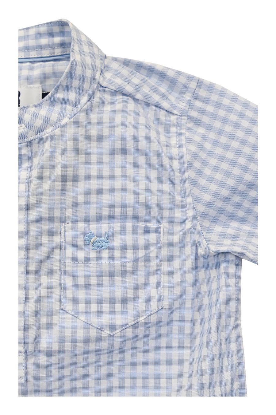 Camisa Darwin manga corta