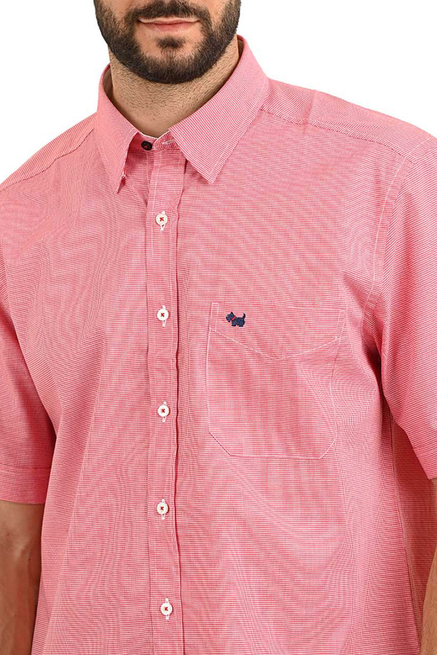 Camisa Caspar Manga Corta