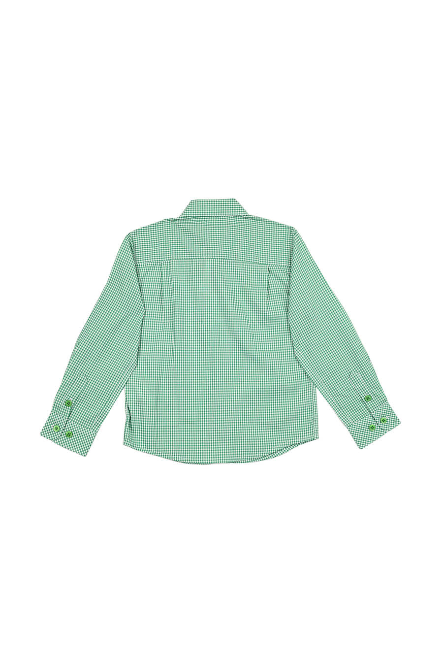 Camisa Chagall manga larga