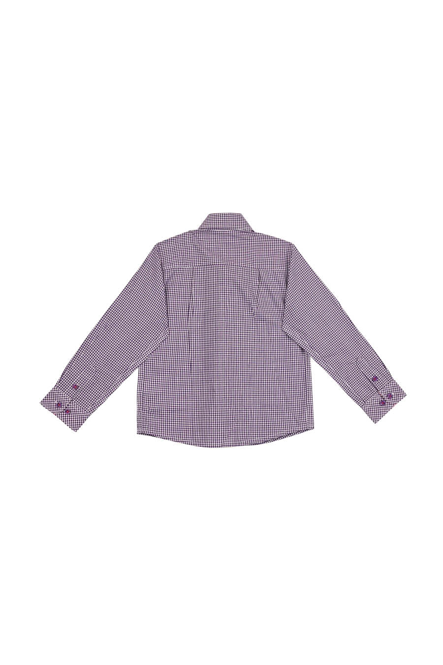 Camisa Chagall manga larga