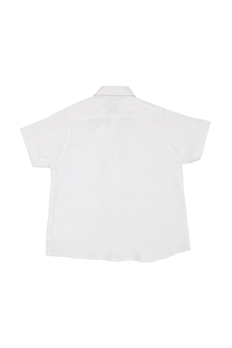 Guayabera Como Manga Corta