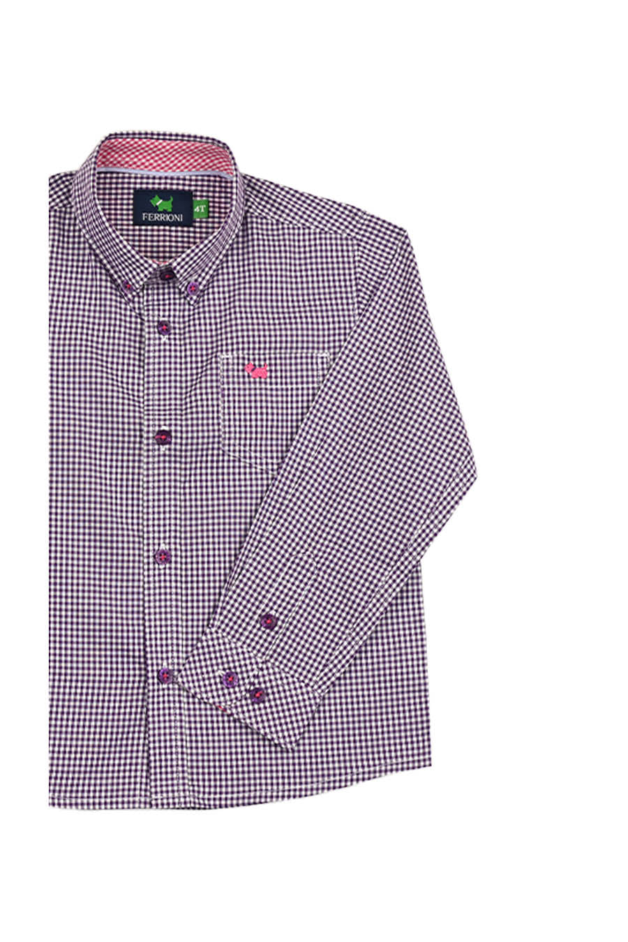 Camisa Chagall manga larga