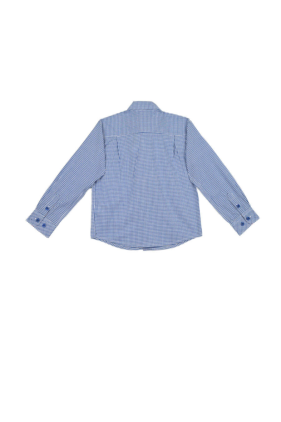 Camisa Chagall manga larga