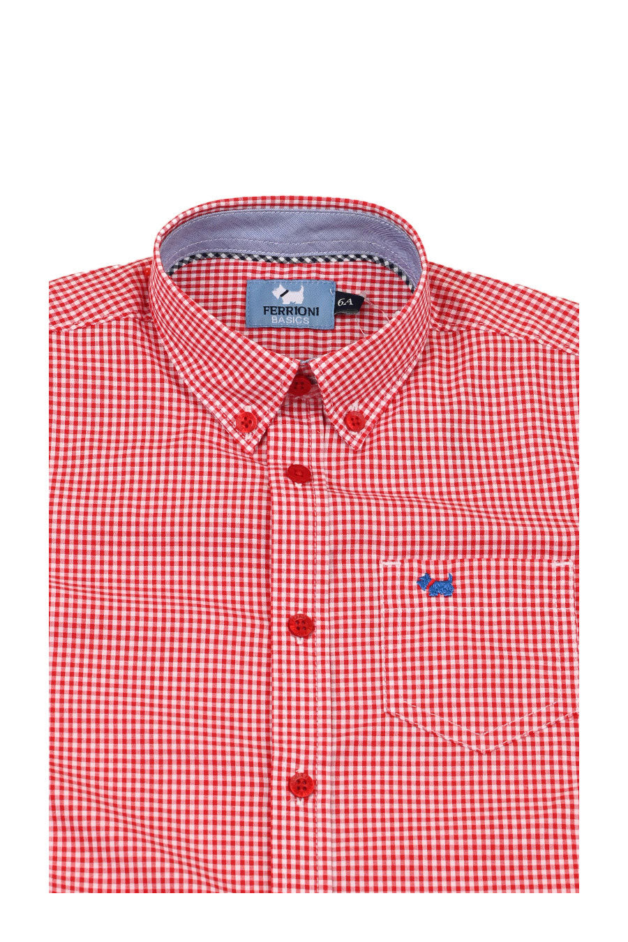 Camisa Chagall manga larga