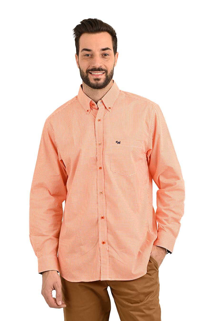 Camisa Chagall manga larga