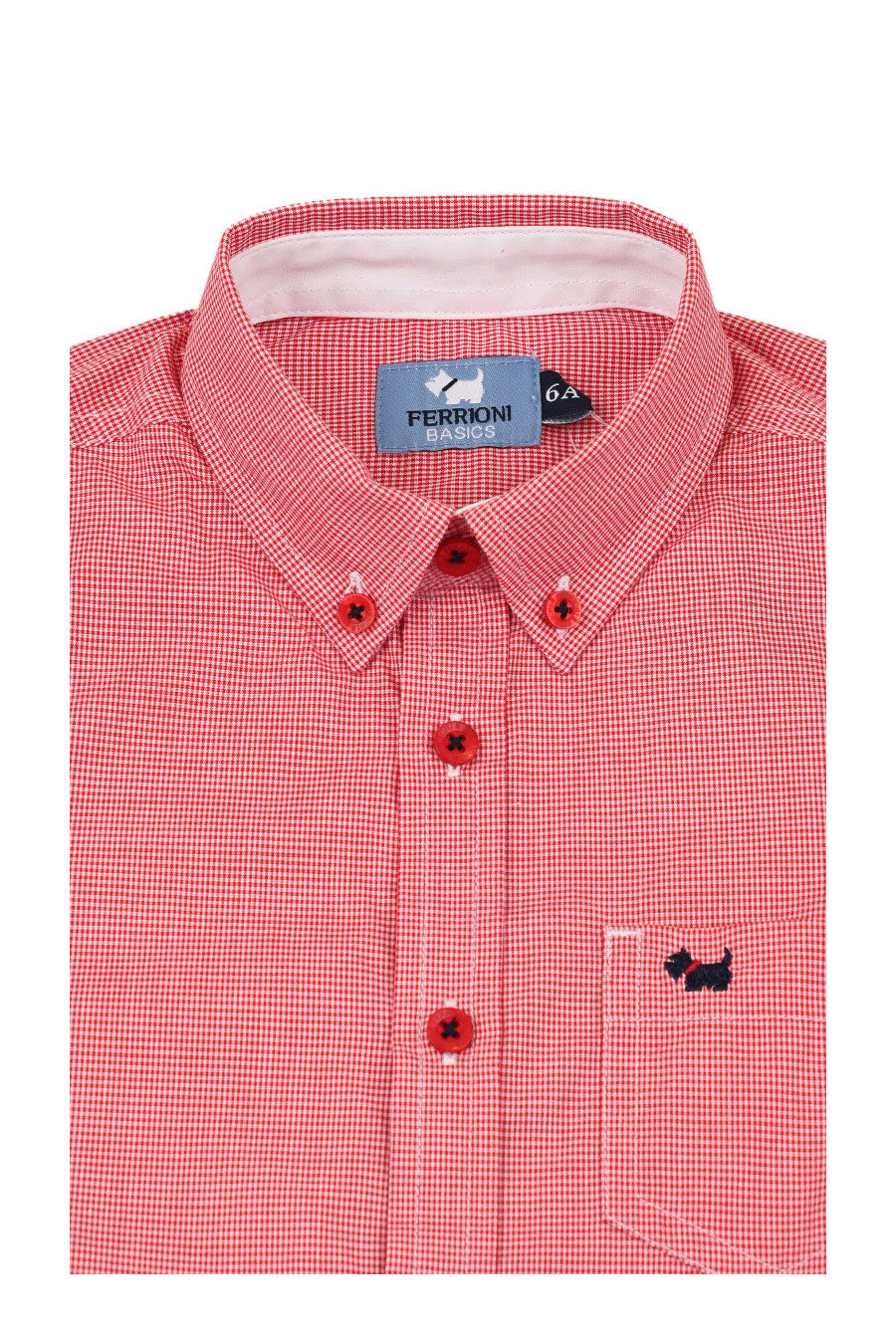 Camisa Caspar Manga Larga