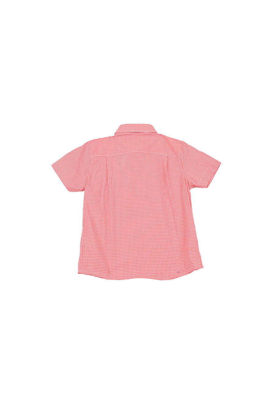 Camisa Chagall manga corta