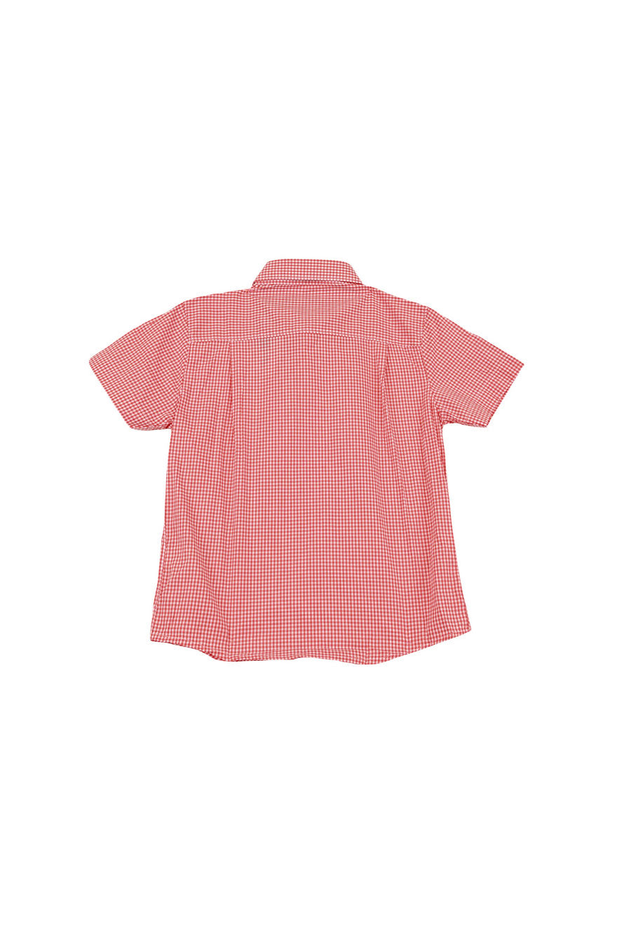 Camisa Chagall manga corta