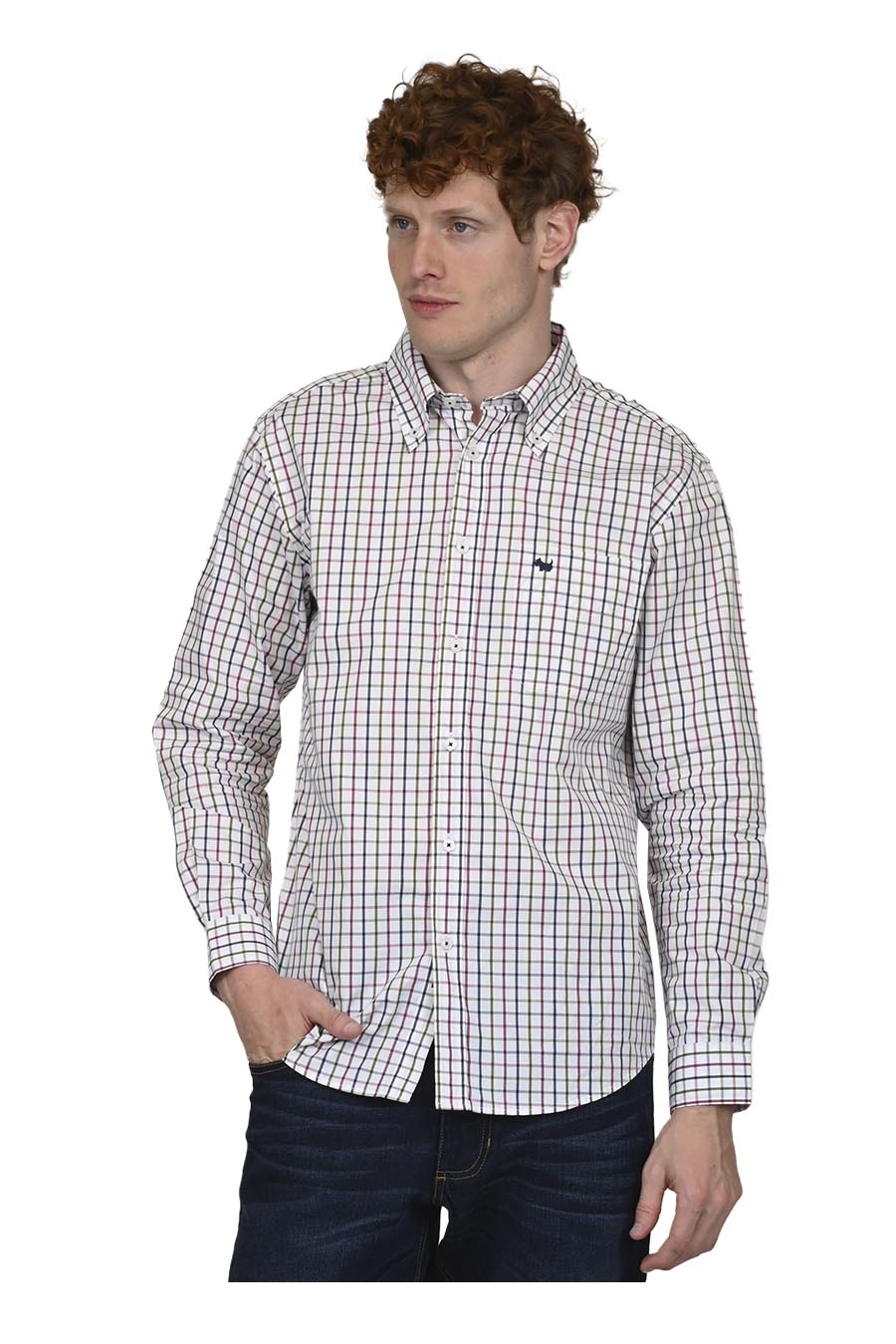 Camisa Zigola Manga Larga
