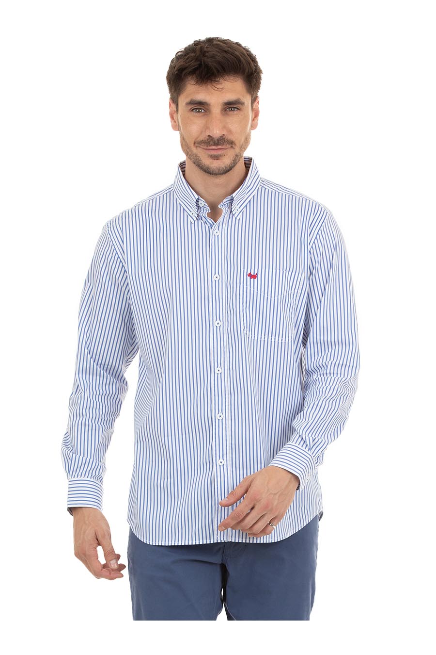 Camisa Livia Manga Larga