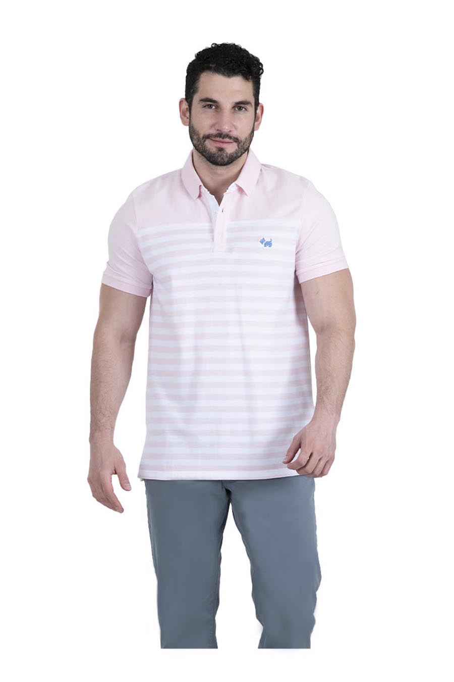 Polo Aine Manga Corta