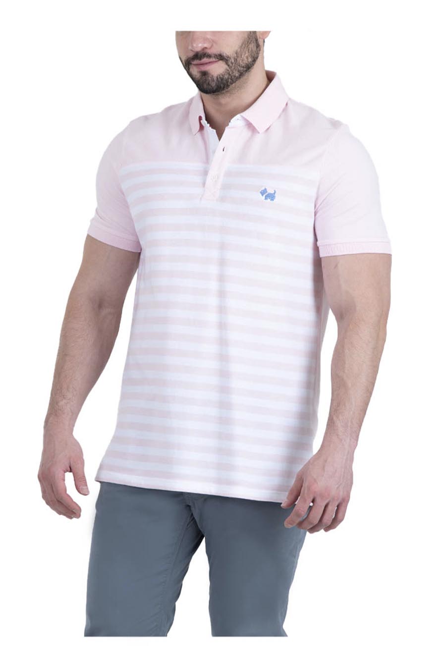 Polo Aine Manga Corta