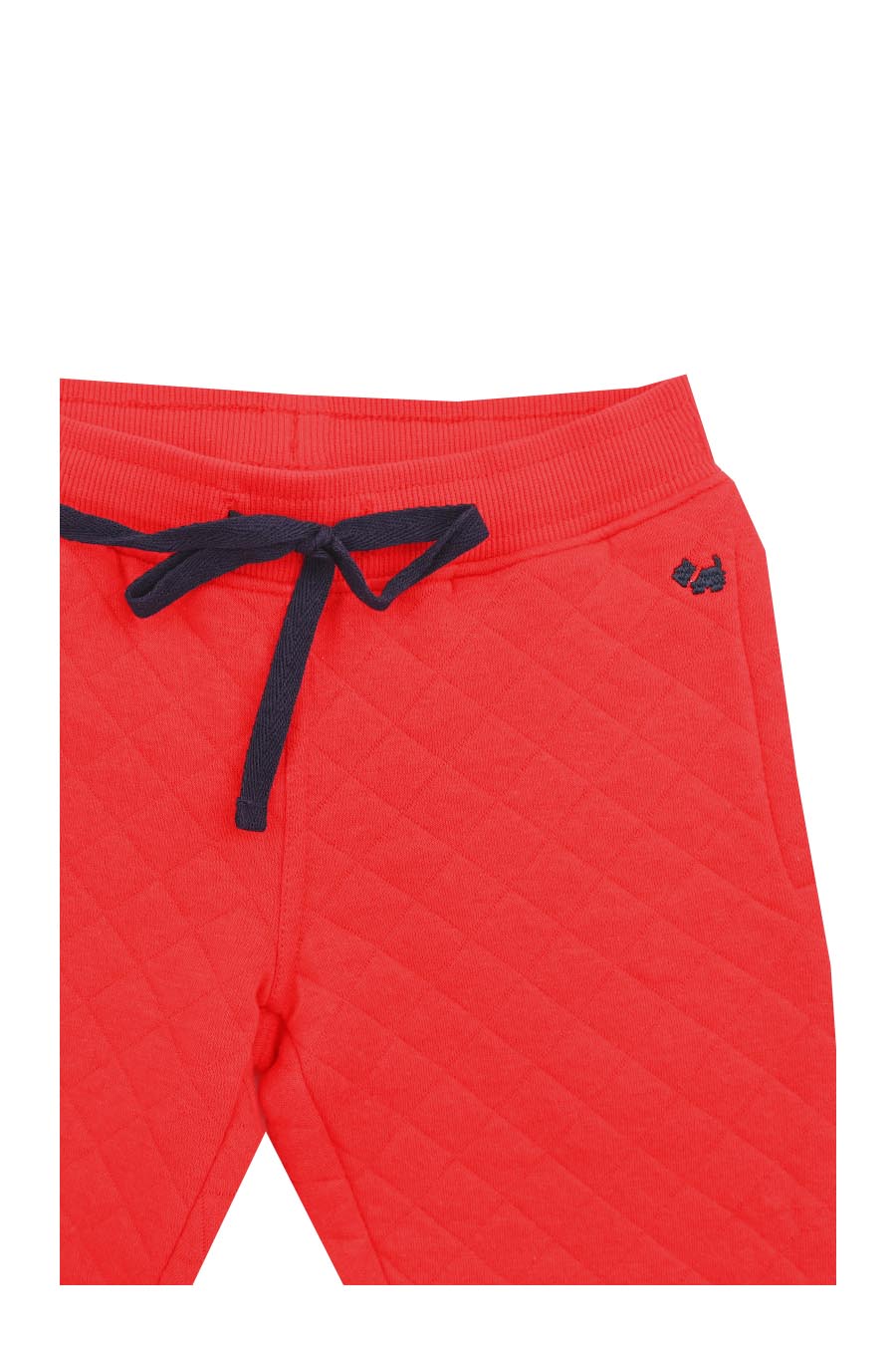 Conjunto Pants Bluford