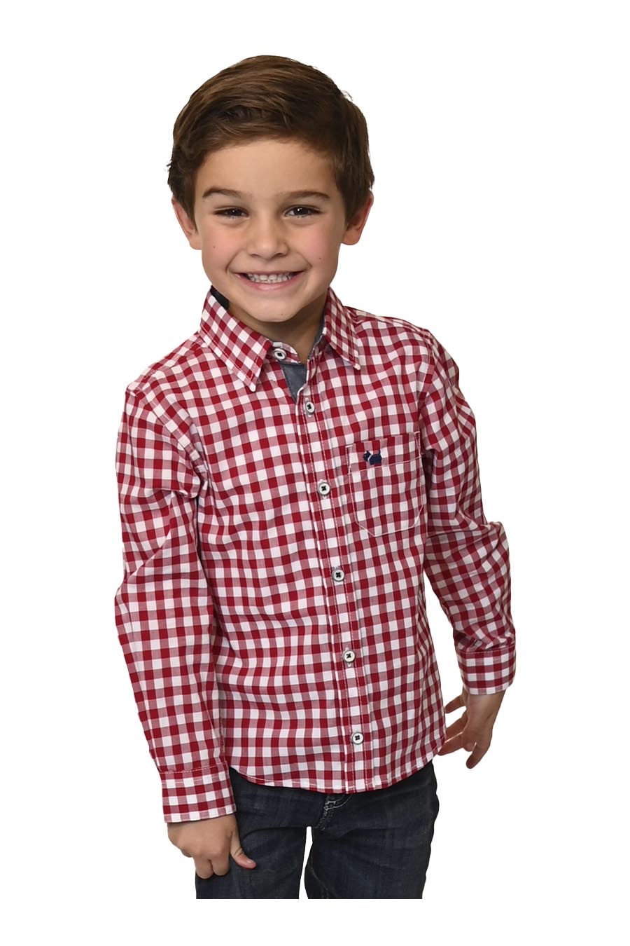 Camisa Sean Manga Larga