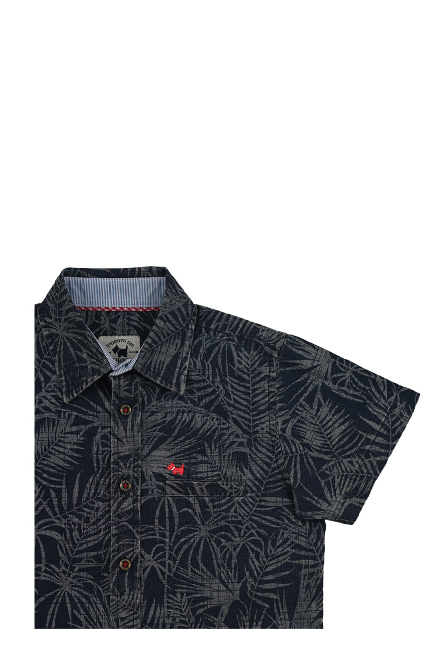 Camisa Ancel Manga Corta