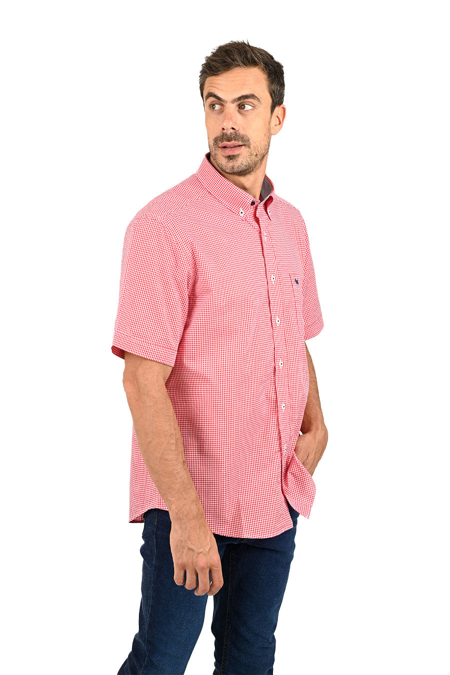 Camisa Chagall manga corta