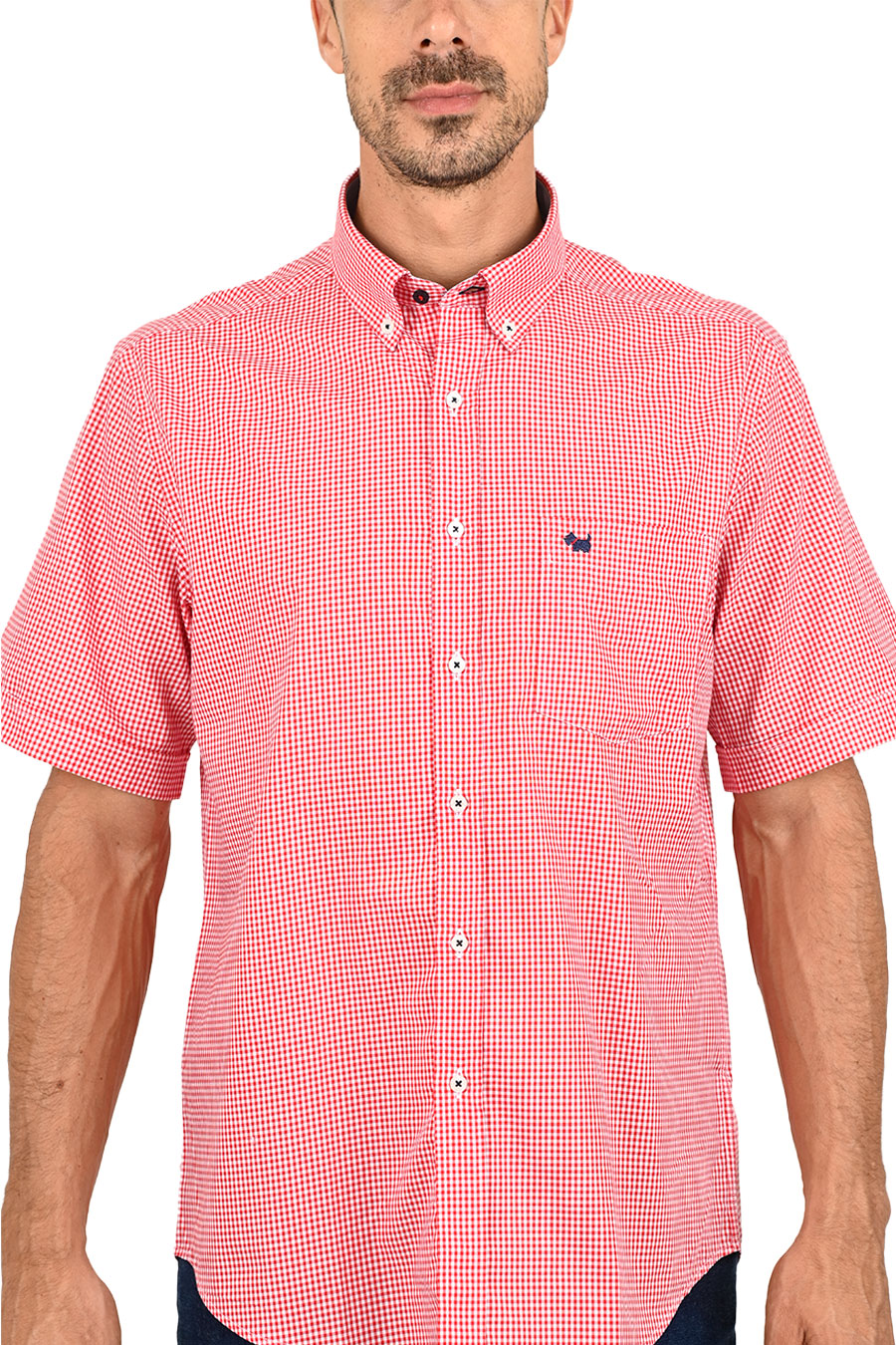 Camisa Chagall manga corta