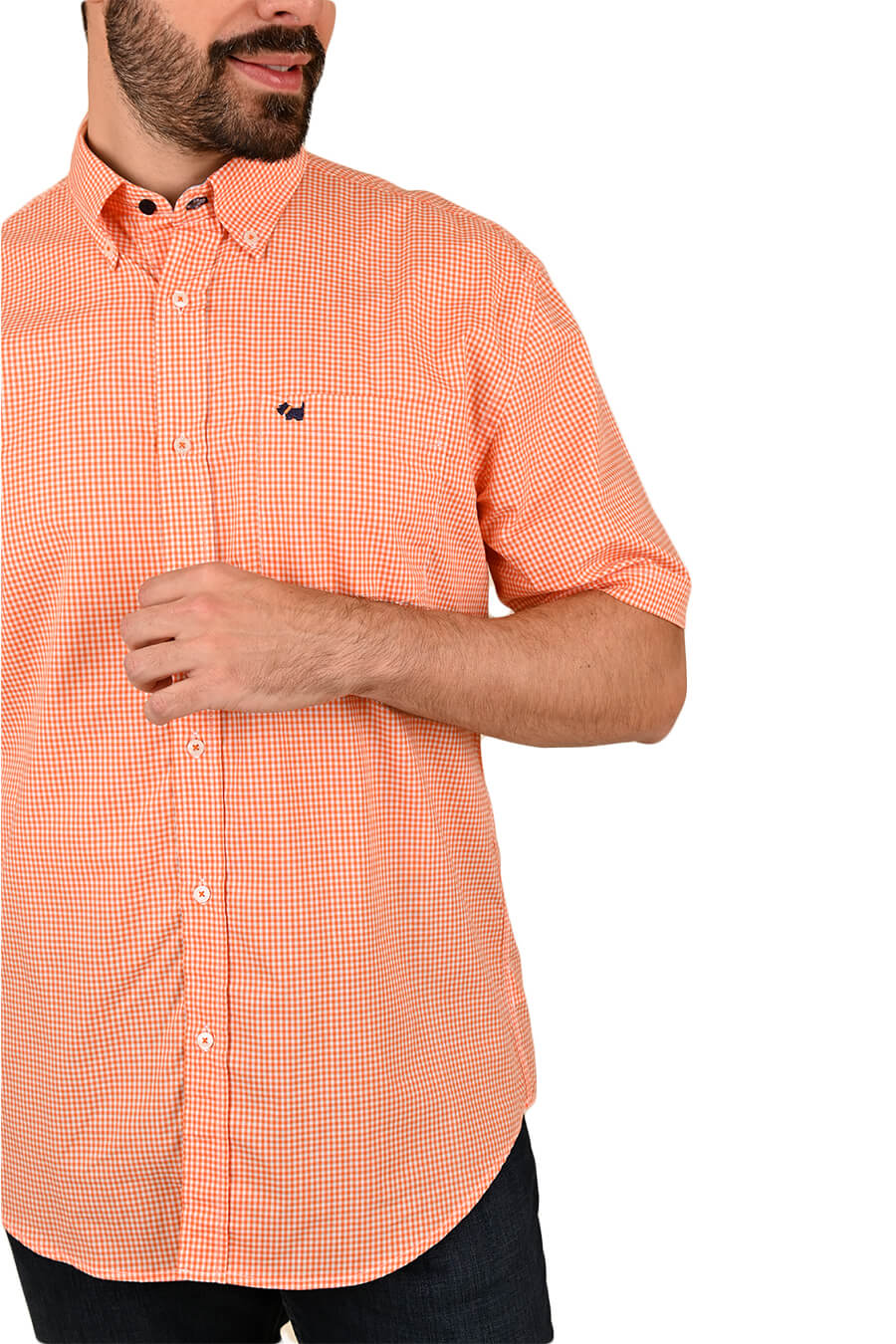 Camisa Chagall manga corta