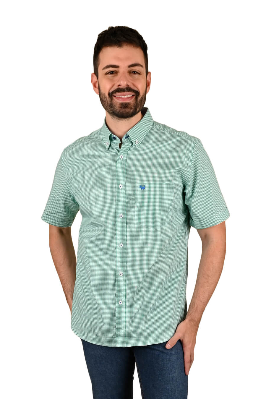 Camisa Chagall manga corta