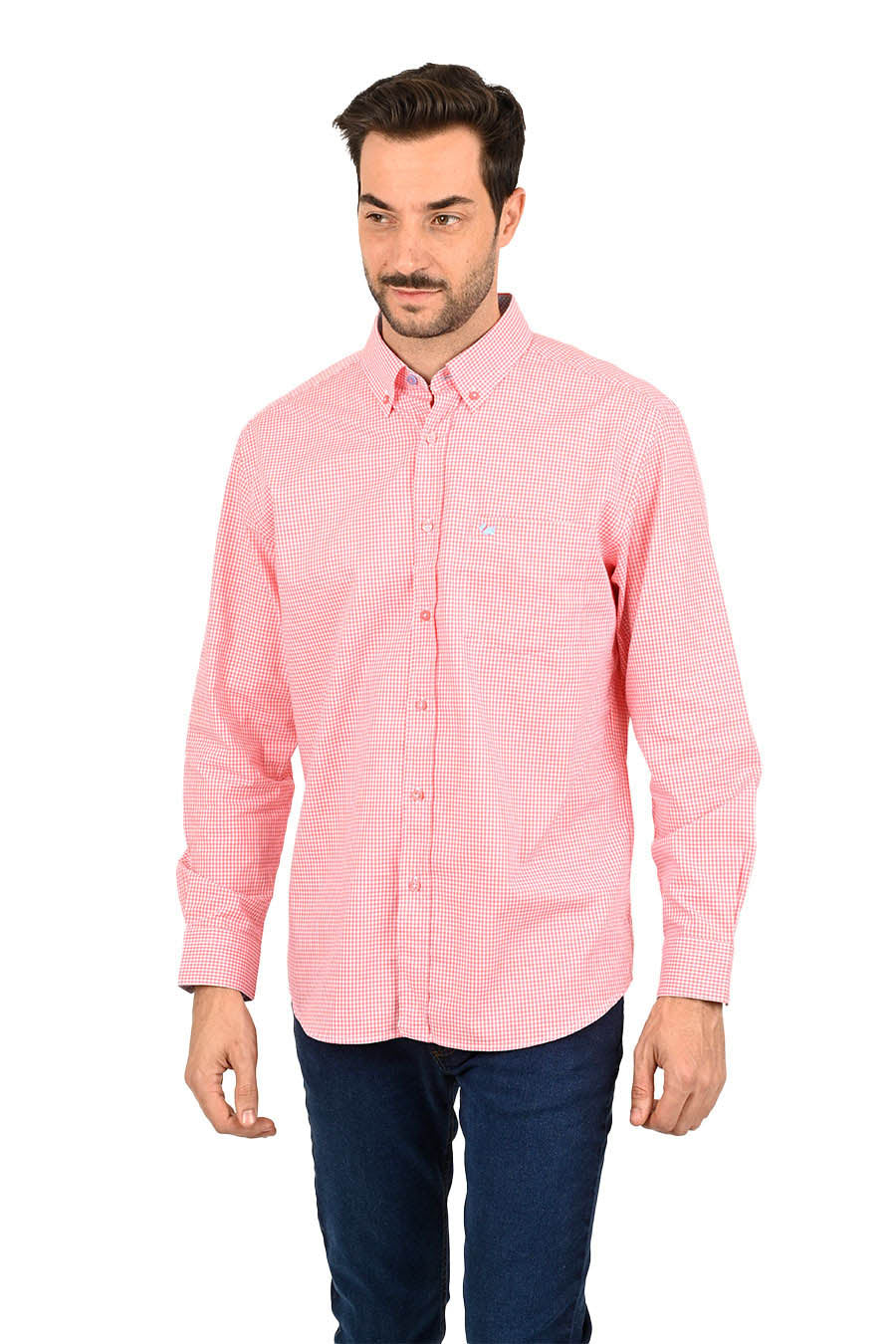 Camisa Chagall manga larga