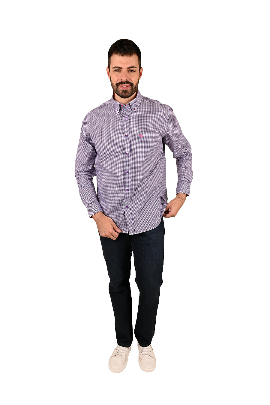 Camisa Chagall manga larga