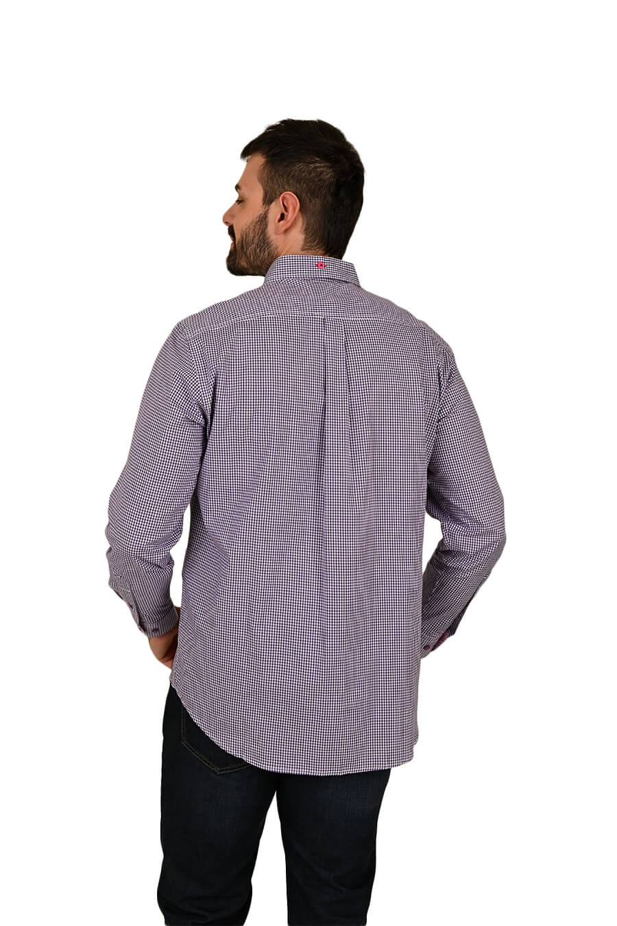 Camisa Chagall manga larga