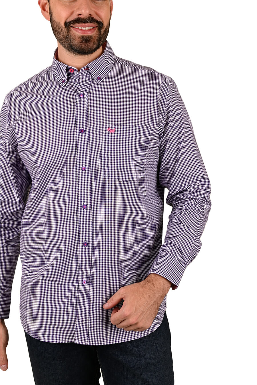 Camisa Chagall manga larga