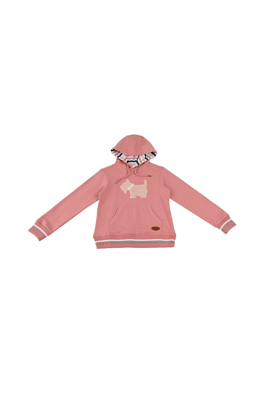 Sudadera Terra con Capucha