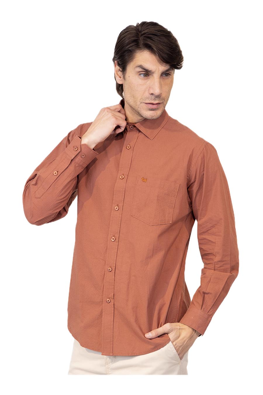 Camisa Tolva Manga larga