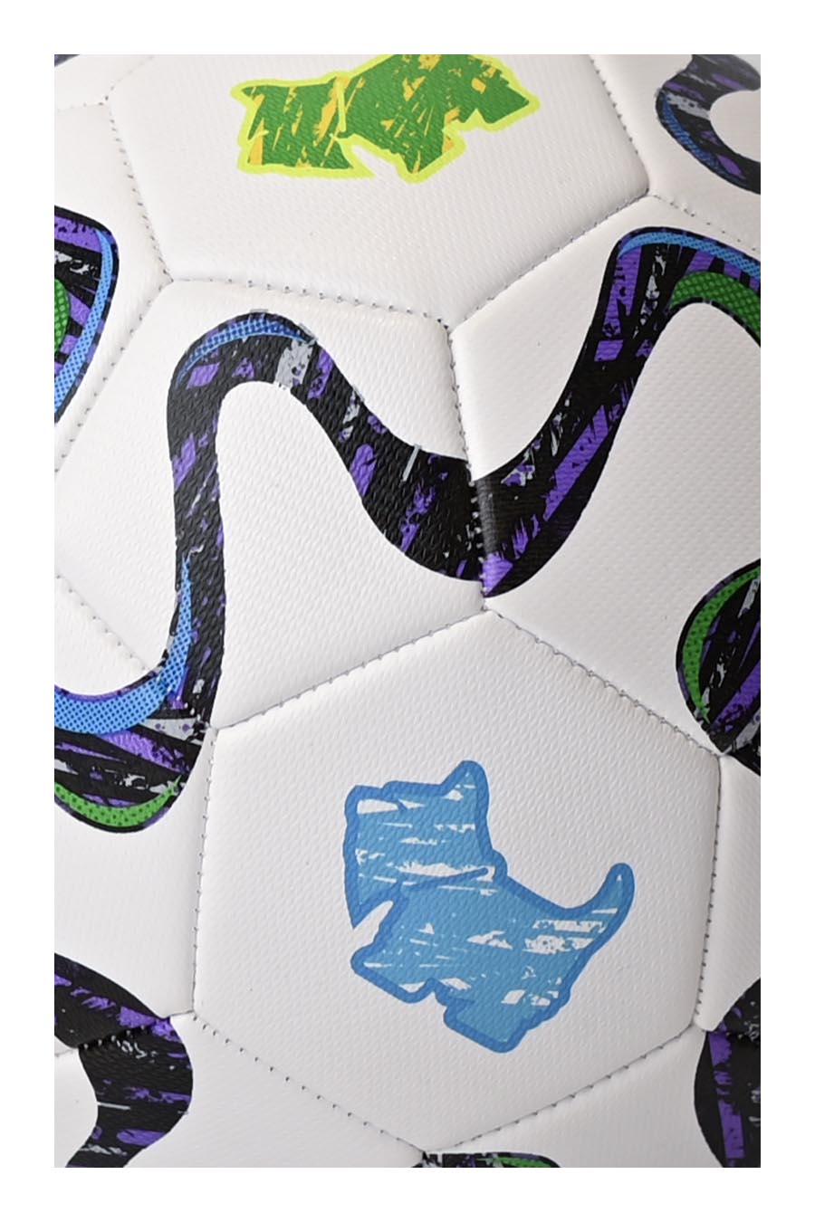 Balón del Mundial Ferrioni