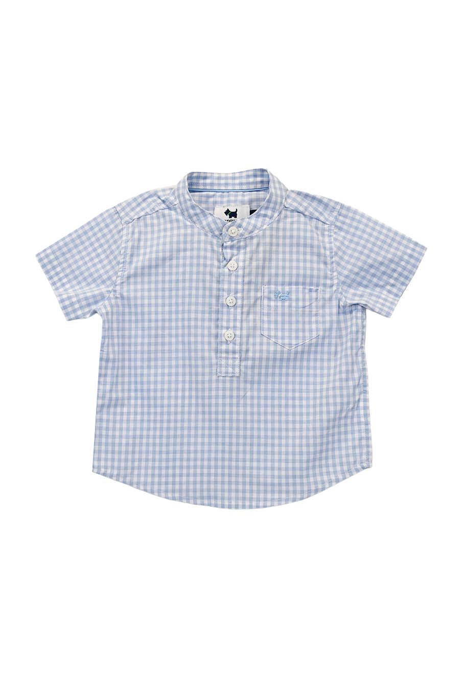 Camisa Darwin manga corta