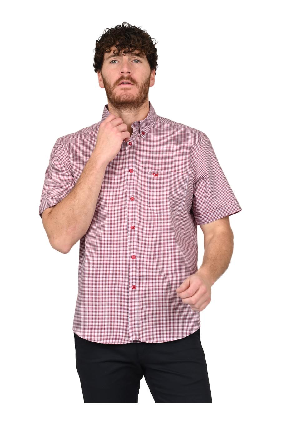 Camisa Brenan Manga Corta