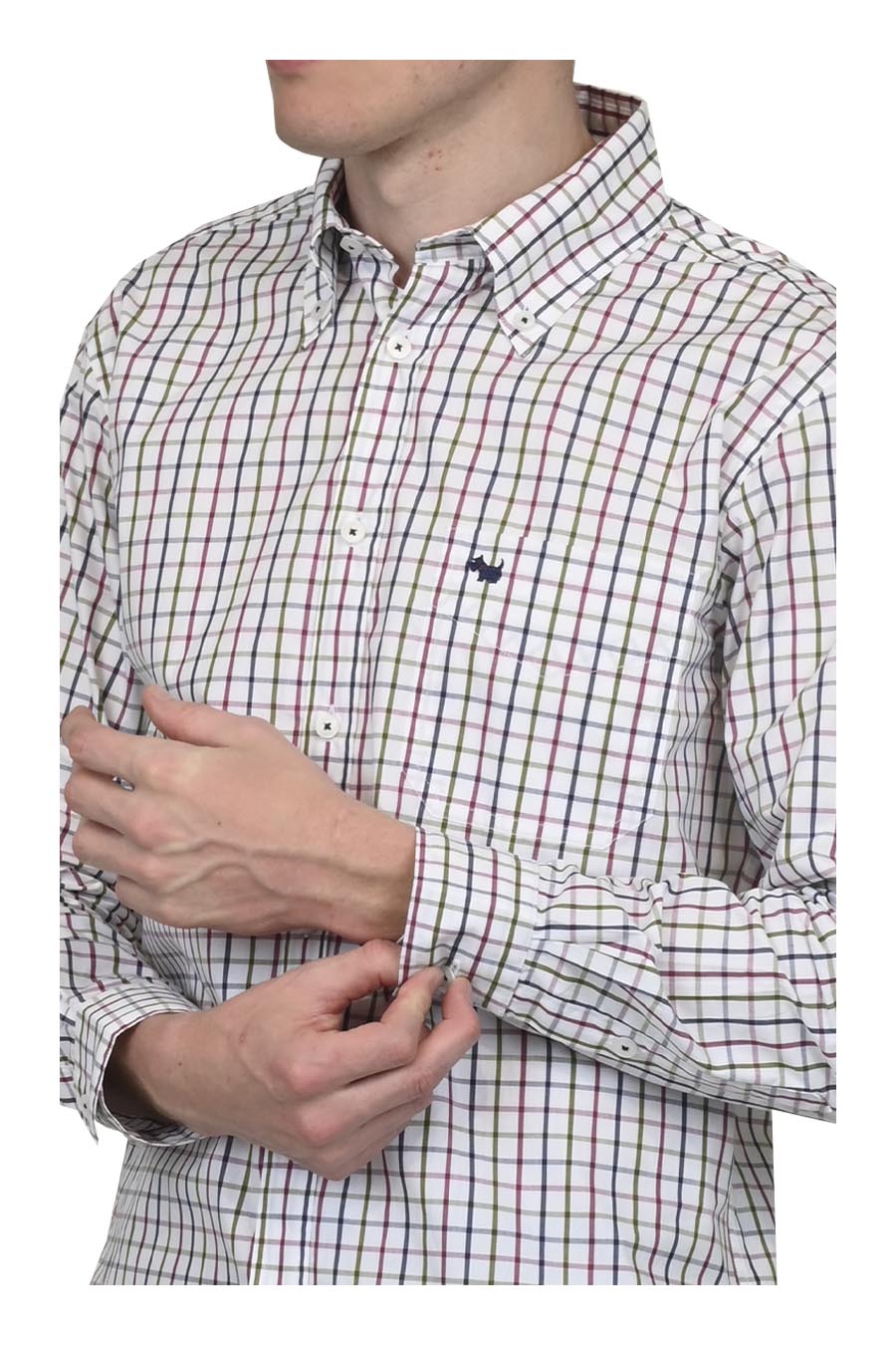 Camisa Zigola Manga Larga