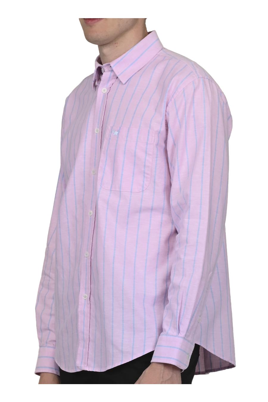 Camisa Ziban Manga Larga