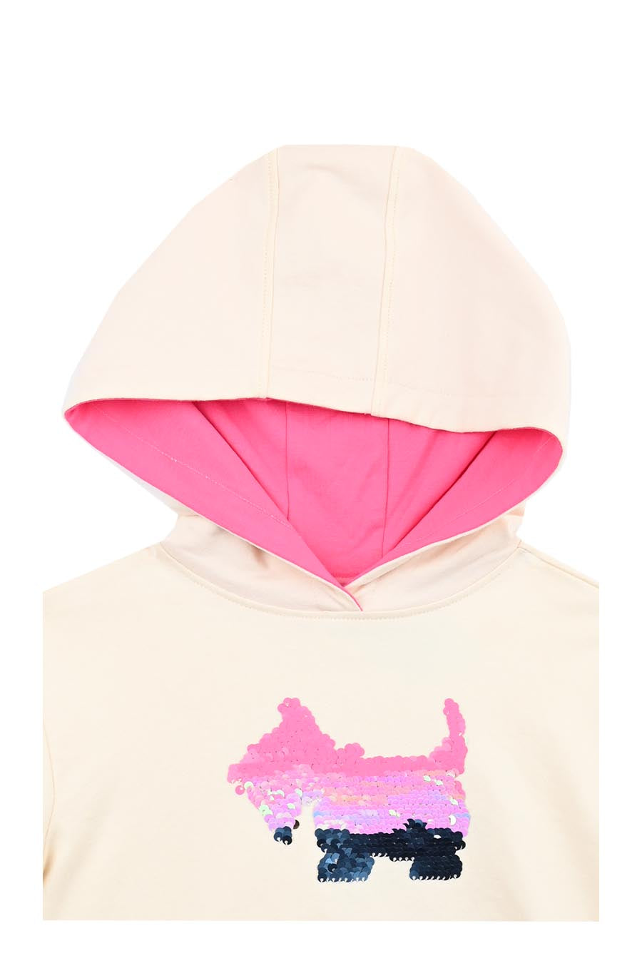 Sudadera Rainbow con Capucha