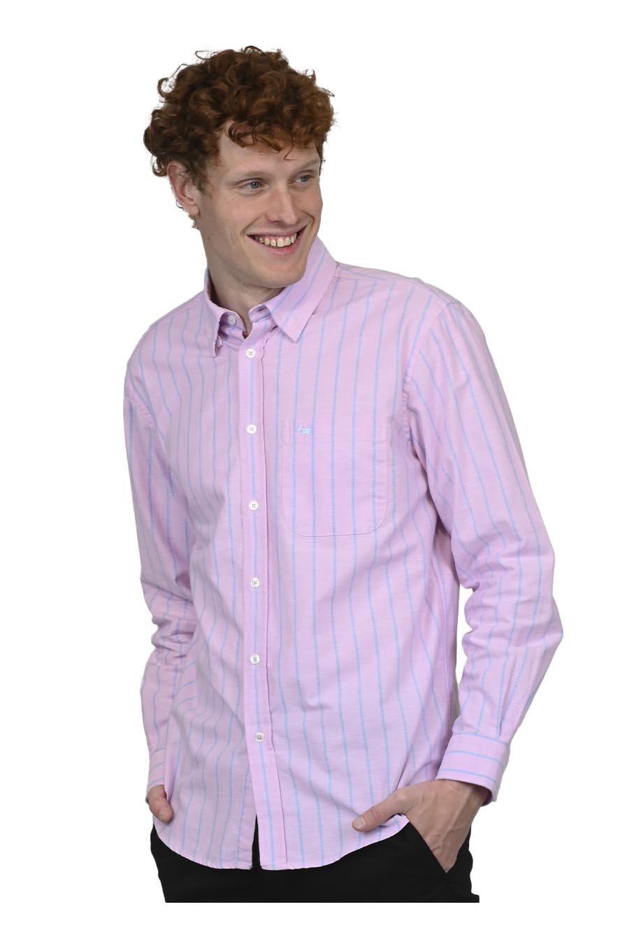 Camisa Ziban Manga Larga