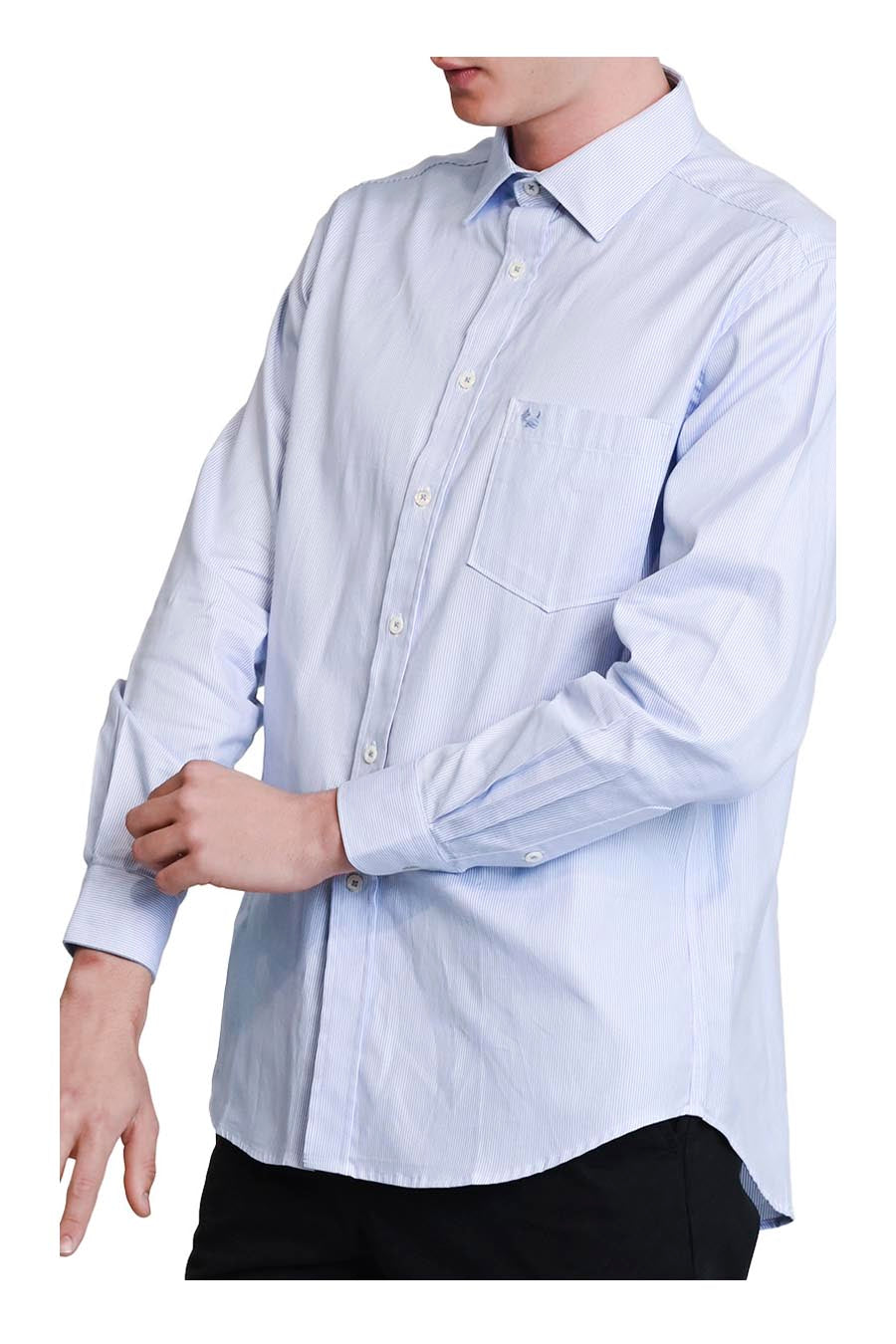Camisa Lavina Manga Larga
