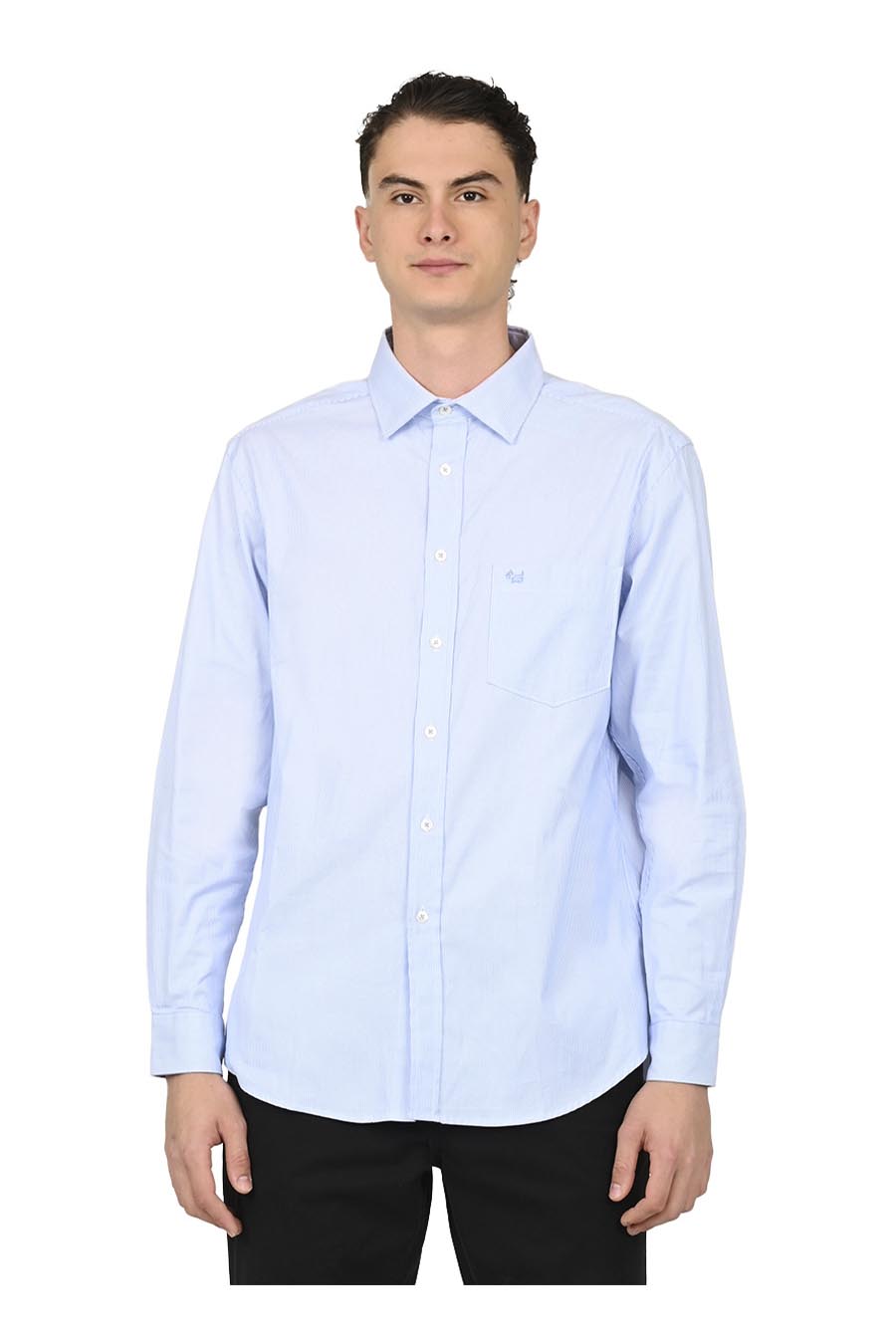 Camisa Lavina Manga Larga
