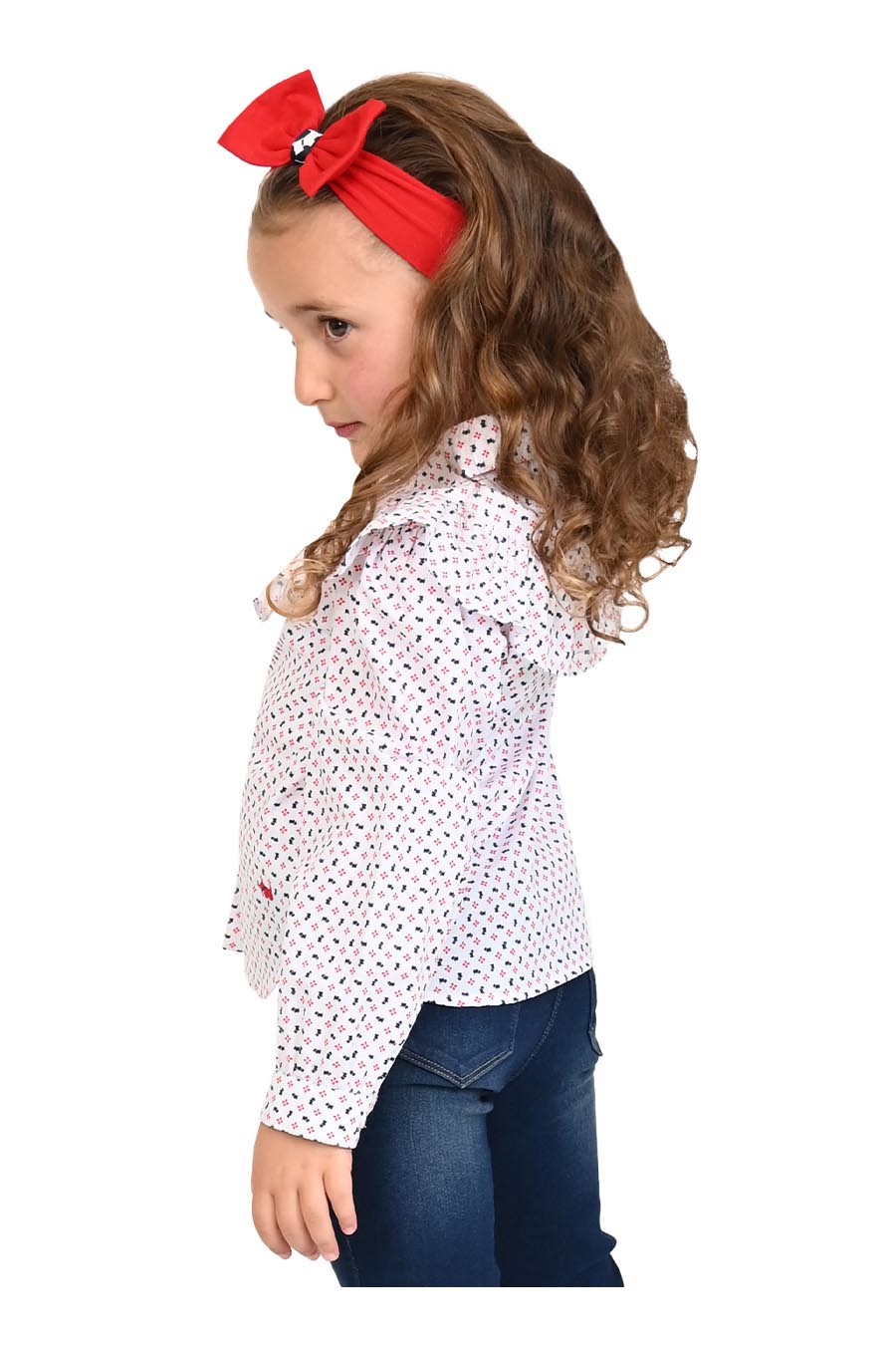 Blusa Delman Manga Larga