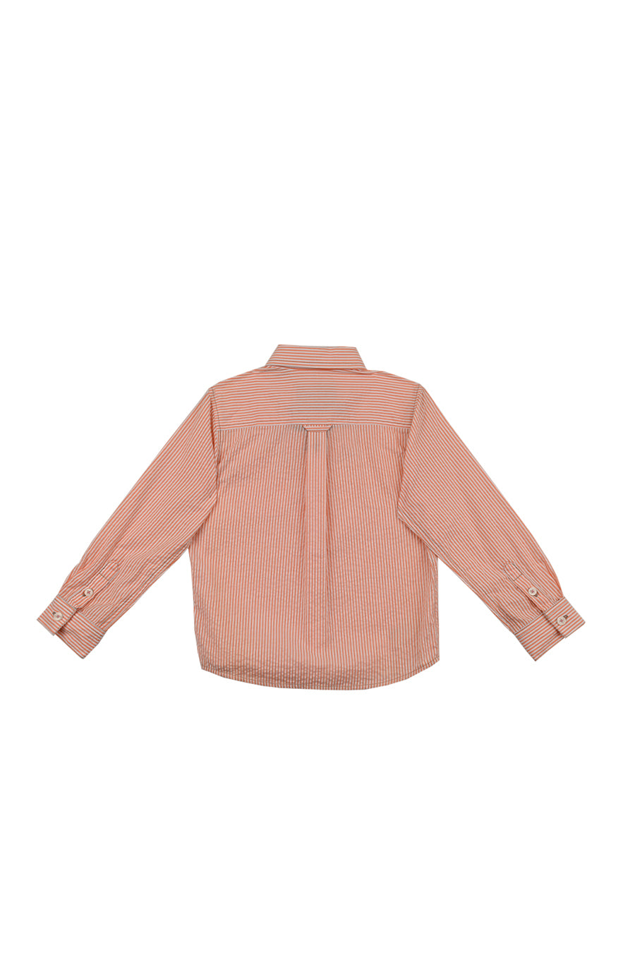 Camisa Gerard Manga Larga